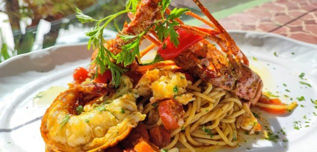 La Lupa celebra feriado de 7 de Setembro com Festival de Lagostas e criação especial do chef Alessandro Narduzzi